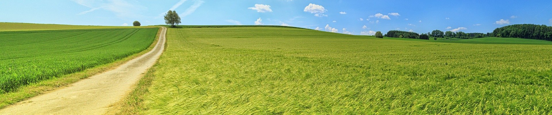 Agricultores Federados Argentinos