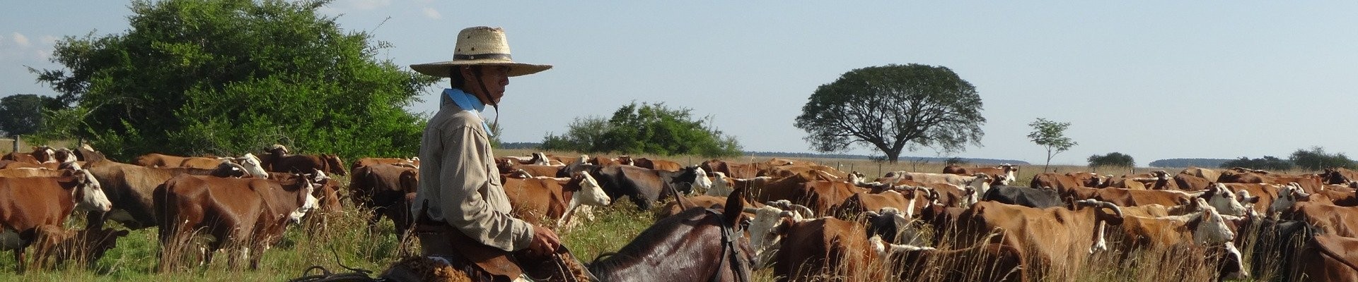 Compañia Rioplatense De Carnes Y