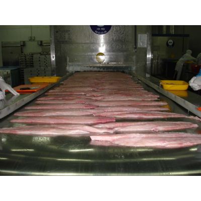  Premium quality Frozen Fish