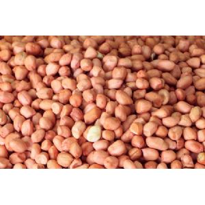  Runner peanut Splits